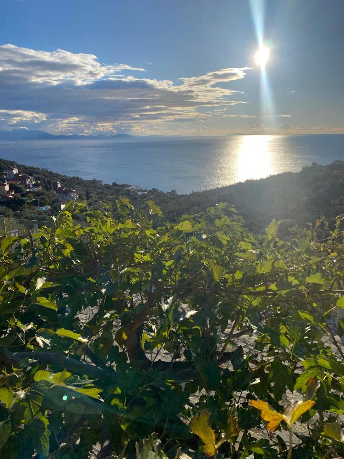 Apollo Romantic Sea View Villa Kiveri Luaran gambar